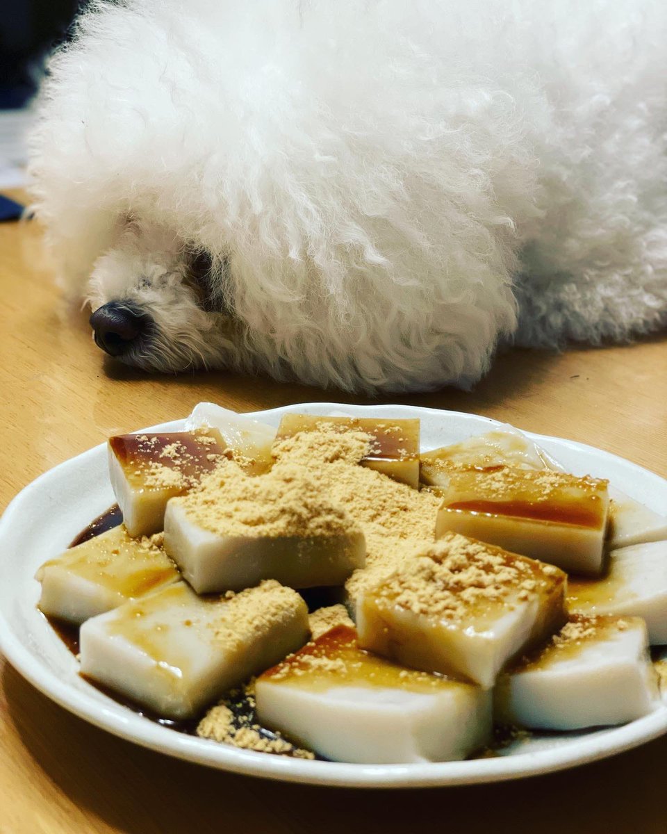 yukimaruuuu4's tweet photo. なんか美味しそうだな〜🐶
食べたいな〜🐶

どーせくれないんでしょ　プイッ https://t.co/4BsJJvQy1Q