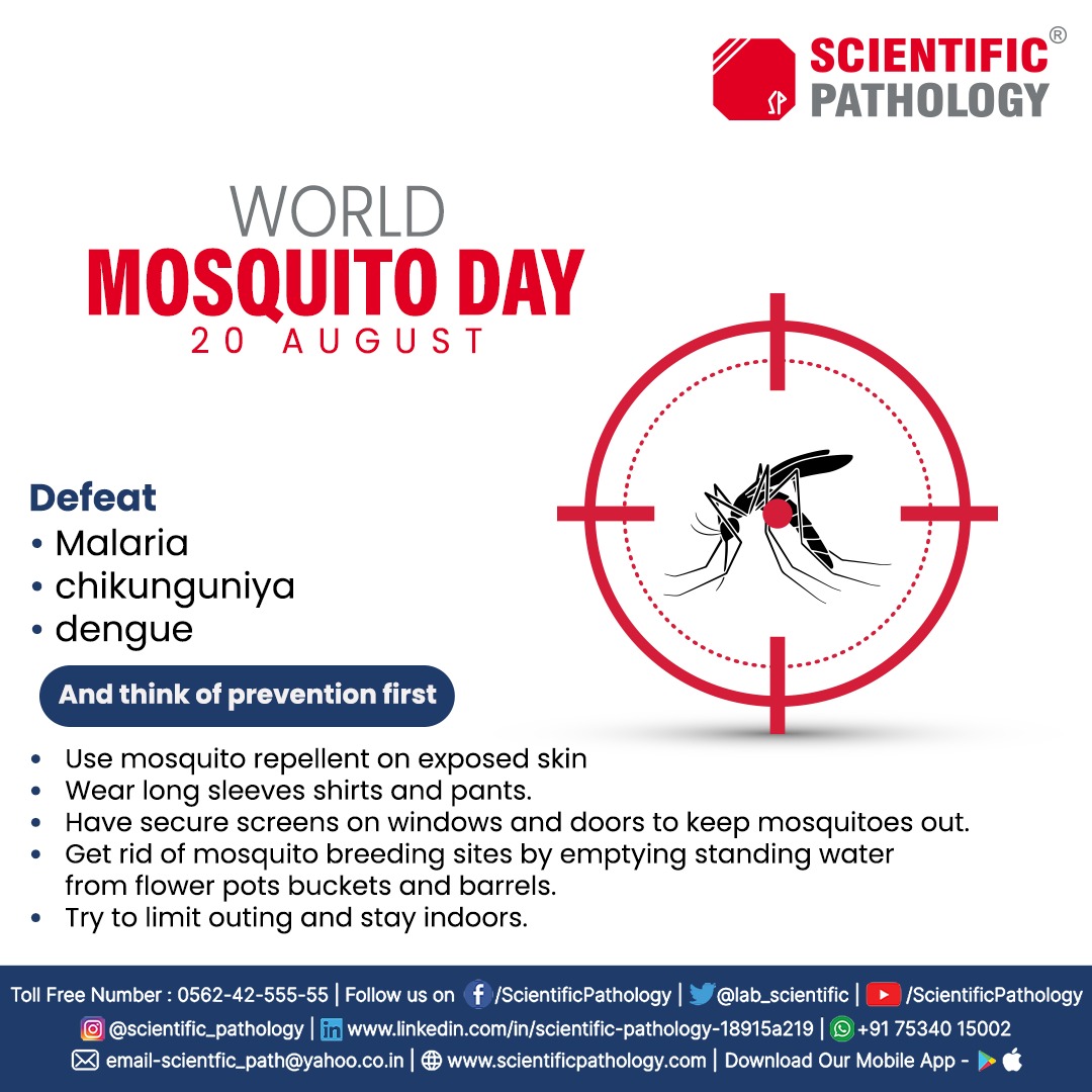 lab_scientific's tweet photo. A nation can progress only when the population is healthy and population can stay healthy with combined efforts to fight with dirt and mosquitoes. Let us join our hands to work for cleanliness this world mosquito day!
#mosquitoes
#prevention #scientificlab https://t.co/j2kcbNmRNf