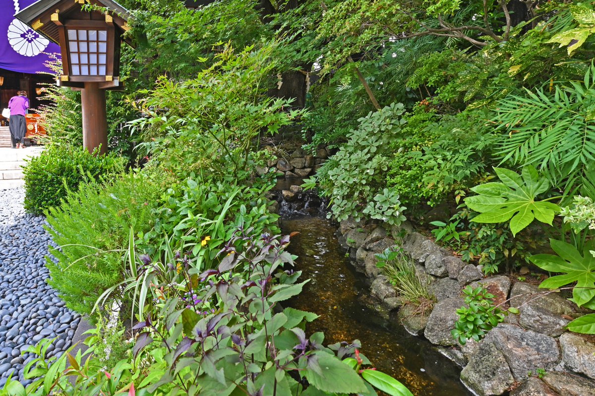 体感的にはまだまだ夏ですが 朝晩は涼しい風が吹いて秋の気配が少しずつ漂い始めました 秋来ぬと 目にはさやかに見えねども 風 22 08 東京大神宮