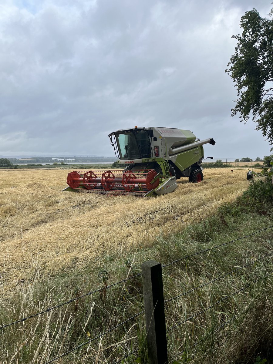 LindoresSpirit's tweet photo. Rain stops play #LocalBarley #ScottishWeather https://t.co/hUgUtLkNOC