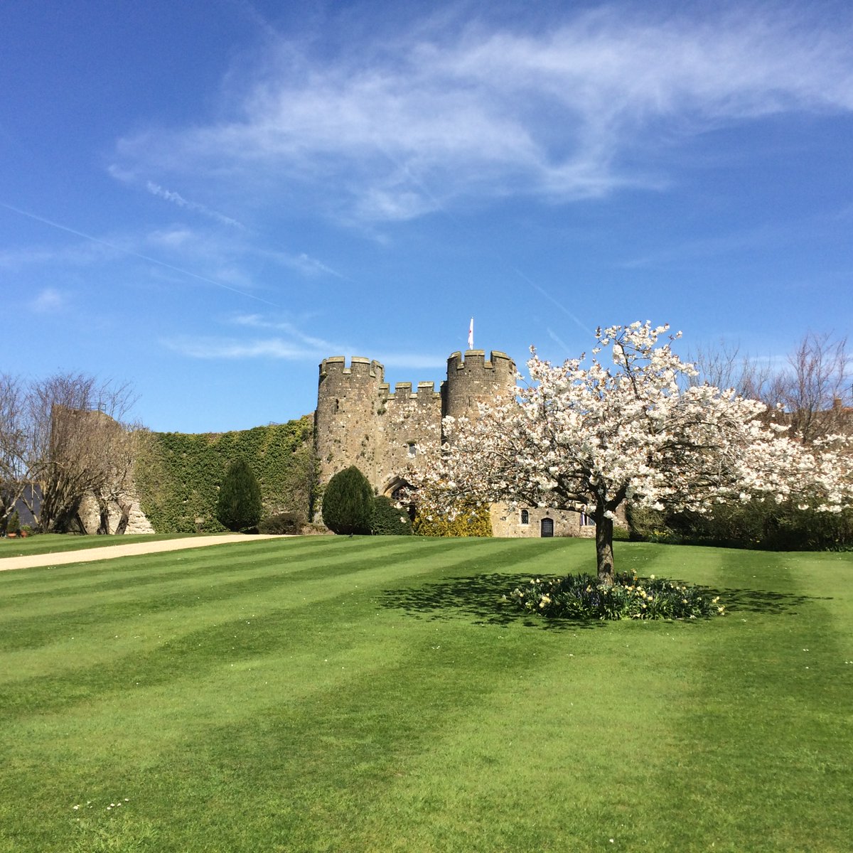 Amberley Castle tweet media
