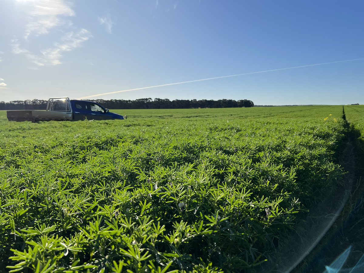 Carbon Ag Tech tweet media