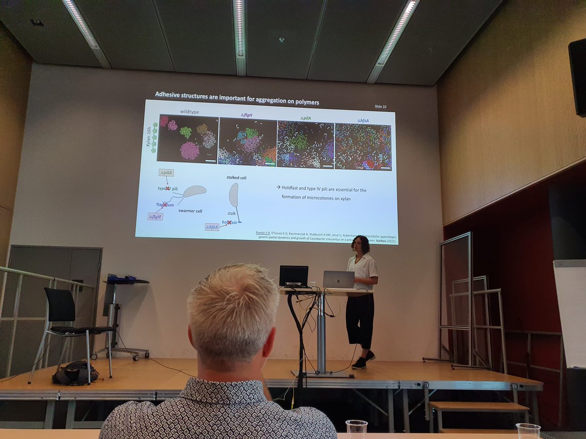 VanessaPovolo's tweet photo. Yesterday I successfully defended my PhD.🥳 I had an amazing day and I would like to thank everyone that supported me along the way! 🥰 @MicSysEcoLab @usys_ethzh @EawagResearch #PhDone https://t.co/TH8paXa7WL