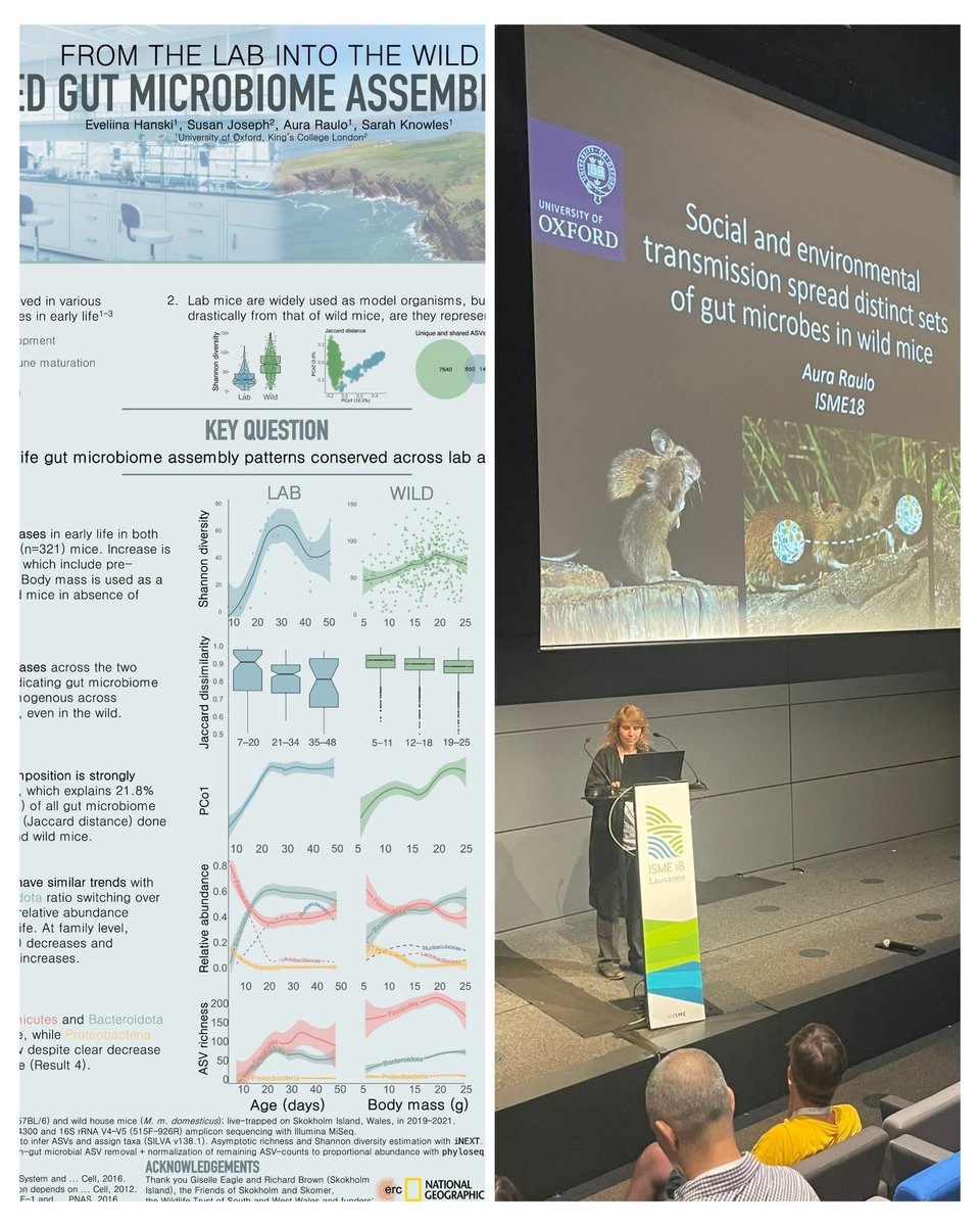 So proud of my lab group members @hanski_eveliina and @AuraRaulo, both scooping up a prizes at #ISME18 for their poster and talk on wild mouse microbiome ecology. Well deserved, superstars! 🌟🌟