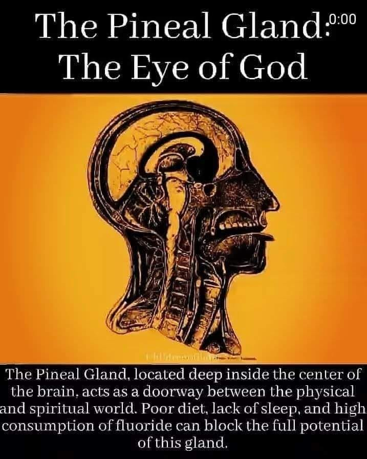 KaranjaKeita's tweet photo. #ThePinealGland #TheEyeOfGod and then read some literature on pineal calcification: https://t.co/noMU11P5sv https://t.co/qiuhdm36g1