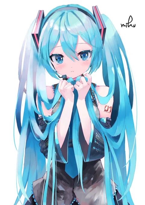 #夏休みはフォロワーさんが増える みくみくしんどろーむ 