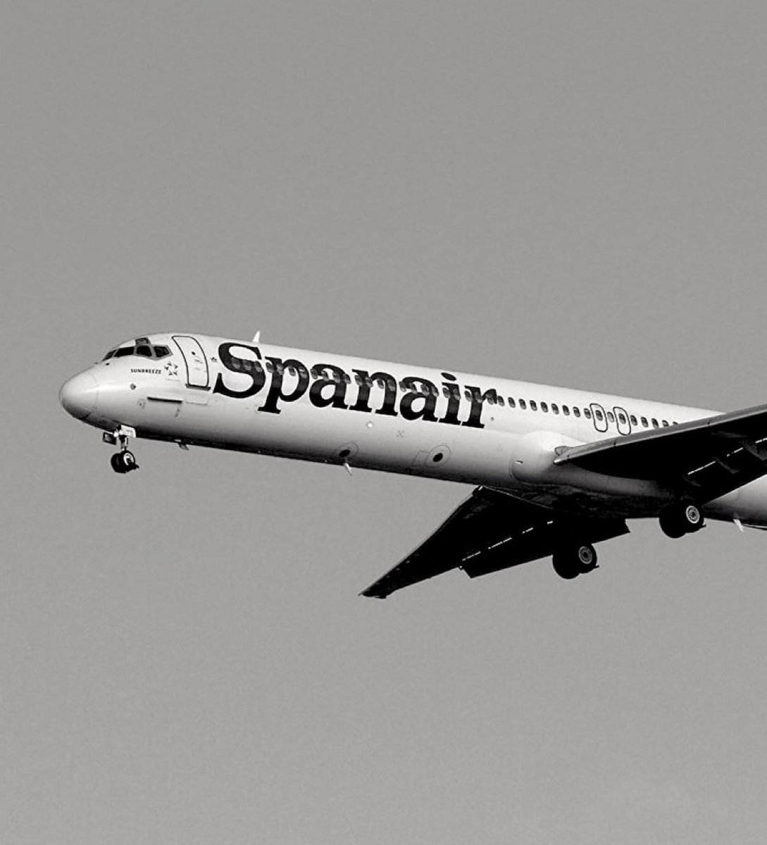 ⚠️⚠️“Pasarán los años y aquí estaremos para contarte todos los que debiste haber seguido volando” - precioso Sunbreeze🖤