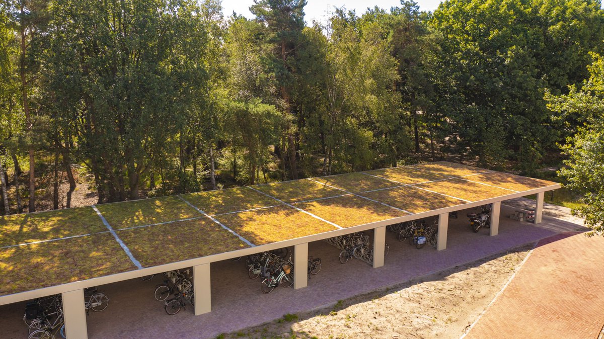 The green roof on the bicycle parking at this innovative campus blends in with nature. The surrounding forest is somewhat extended and many animals benefit from this. Biodiversity in the area is improved. 🐝🌱

#greenroof #biodiversity #sustainable #sedumroof