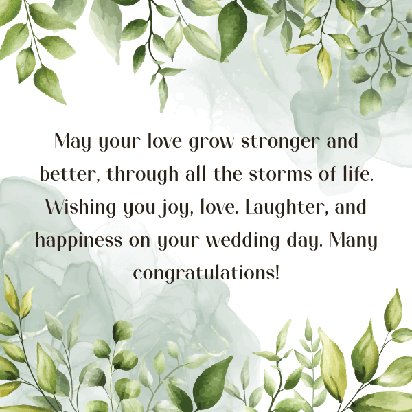 St Michael's RC Primary tweet media