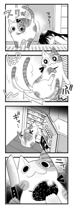高齢猫を看取ろうと会社を辞めたら生活が激変した話(2/3) 