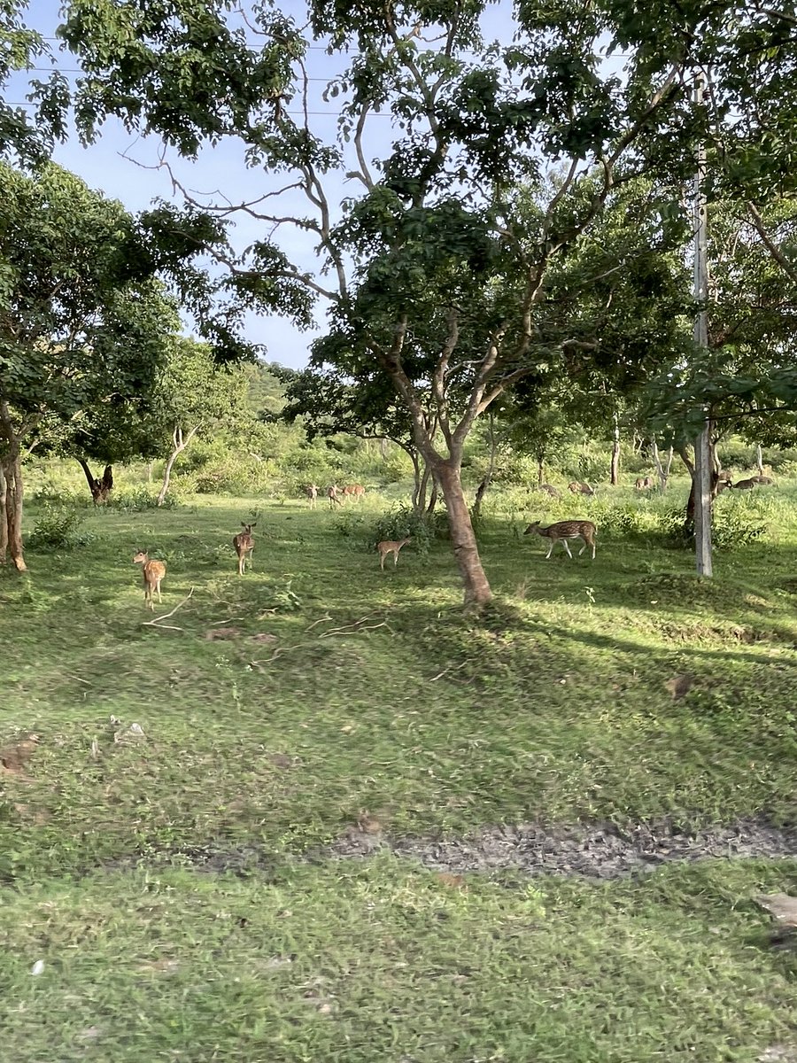 TrackNerd tweet media