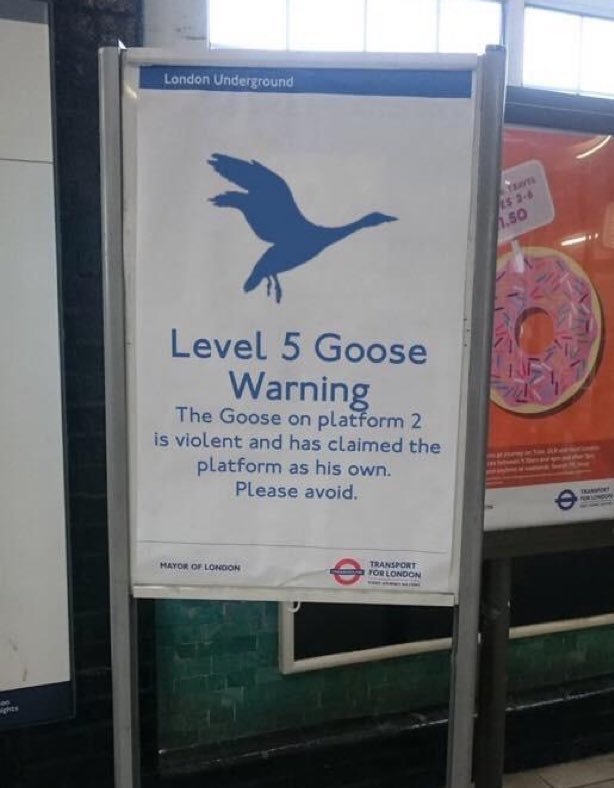 NoContextBrits's tweet photo. Fuck sake. https://t.co/6uf2ReIT6A