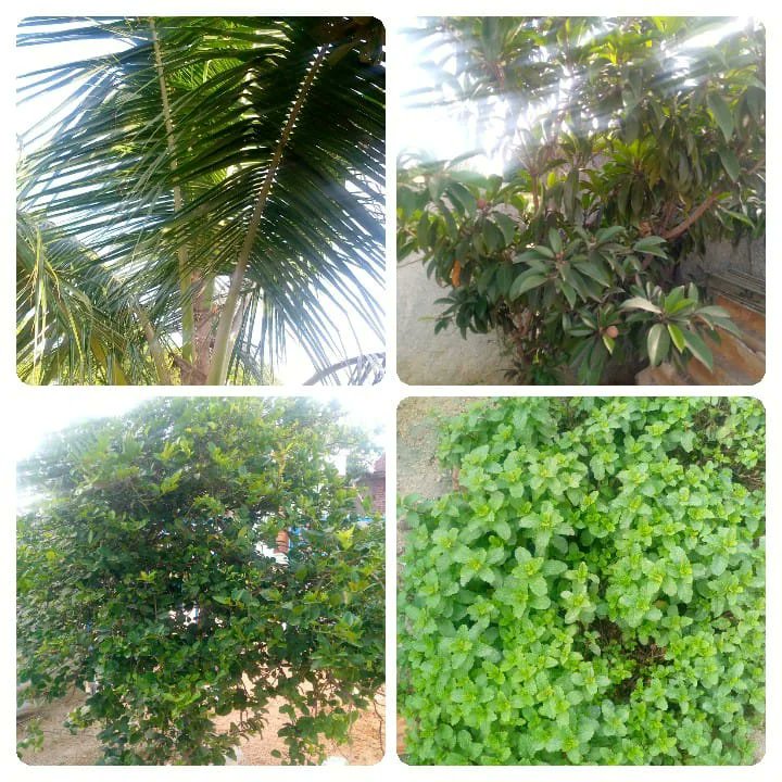 VDFLaddigam's tweet photo. Laddigam VDF Gurukulam champions activities https://t.co/he0YSwDLlZ