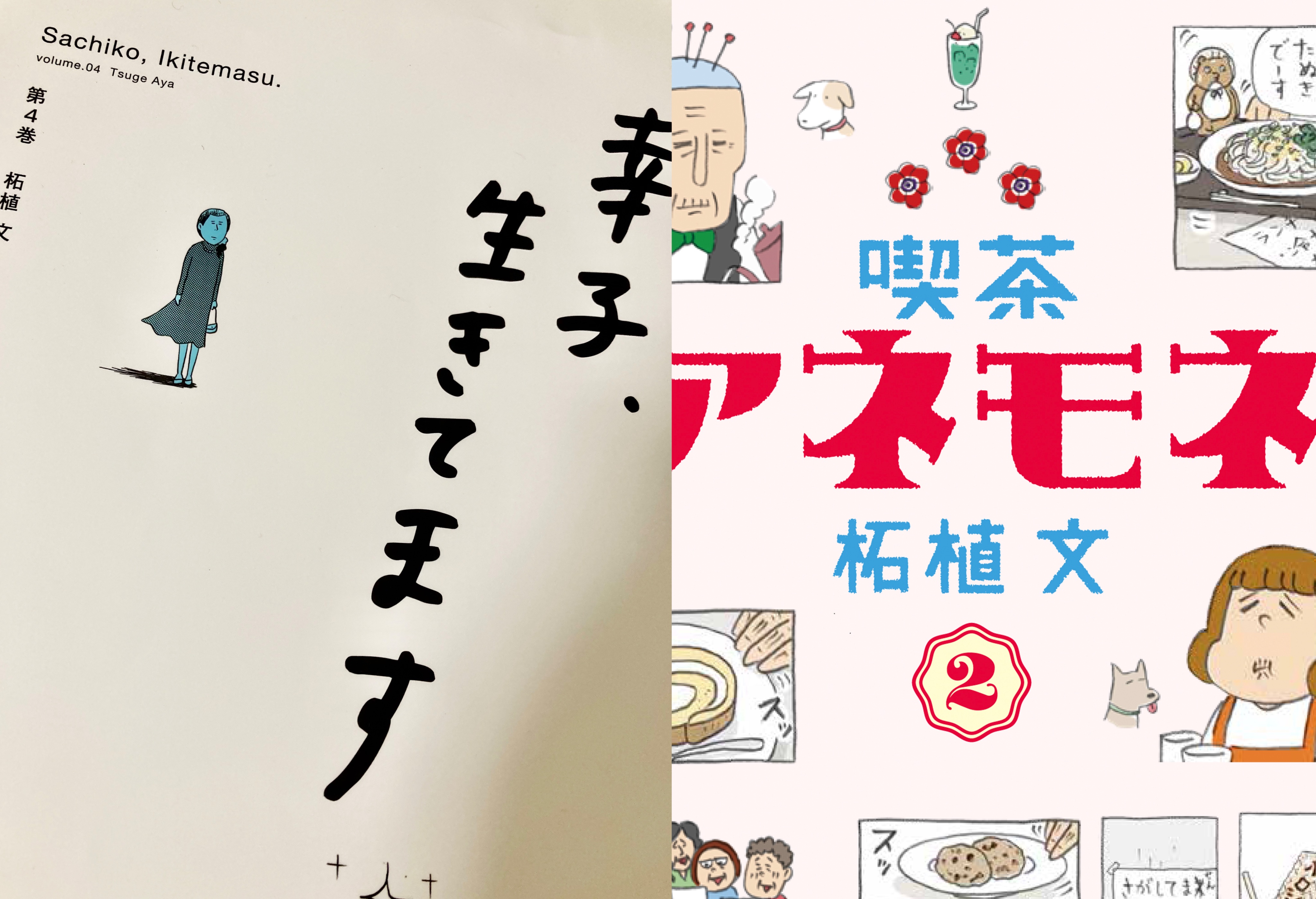 柘植文 Tuuge Twitter