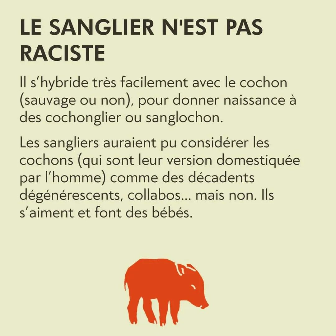 Pourquoi malgré l'étiolement de la trend, il faut qu'on garde le #sangliercamarade sur la durée 1/2