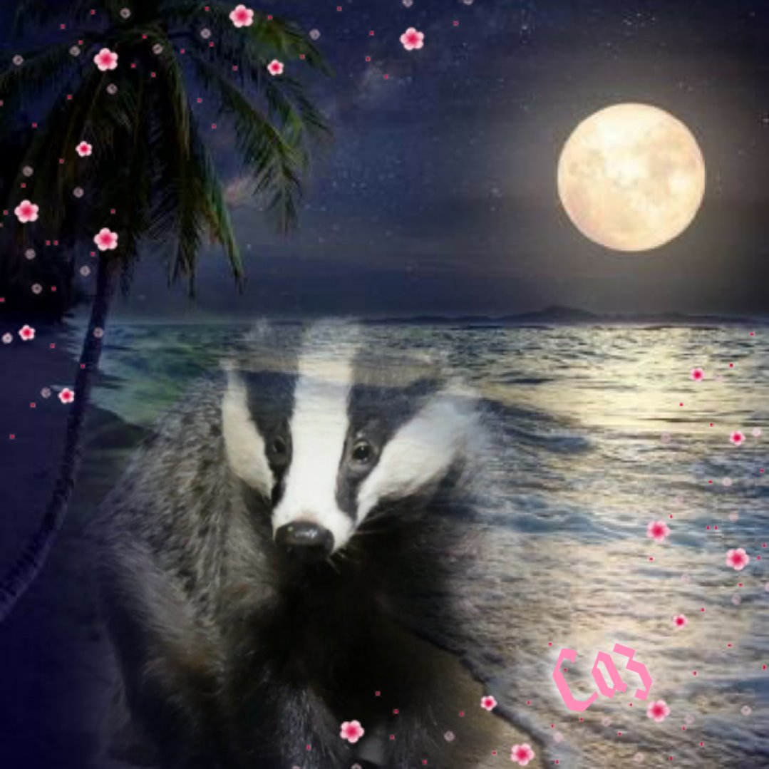 Good morning sweet Nut Fairy, have u cooled down a bit this morning? I don't blame u for getting mad, stupid ignorant self-opinionated loud mouths get me angry too! *There seem to be more &amp; more these days too!* Happy Saturday sweetie, &amp; all at Narnia😍😘🦡🦊🐿🦔🐾🐾🐾🐾💕💕💕💕