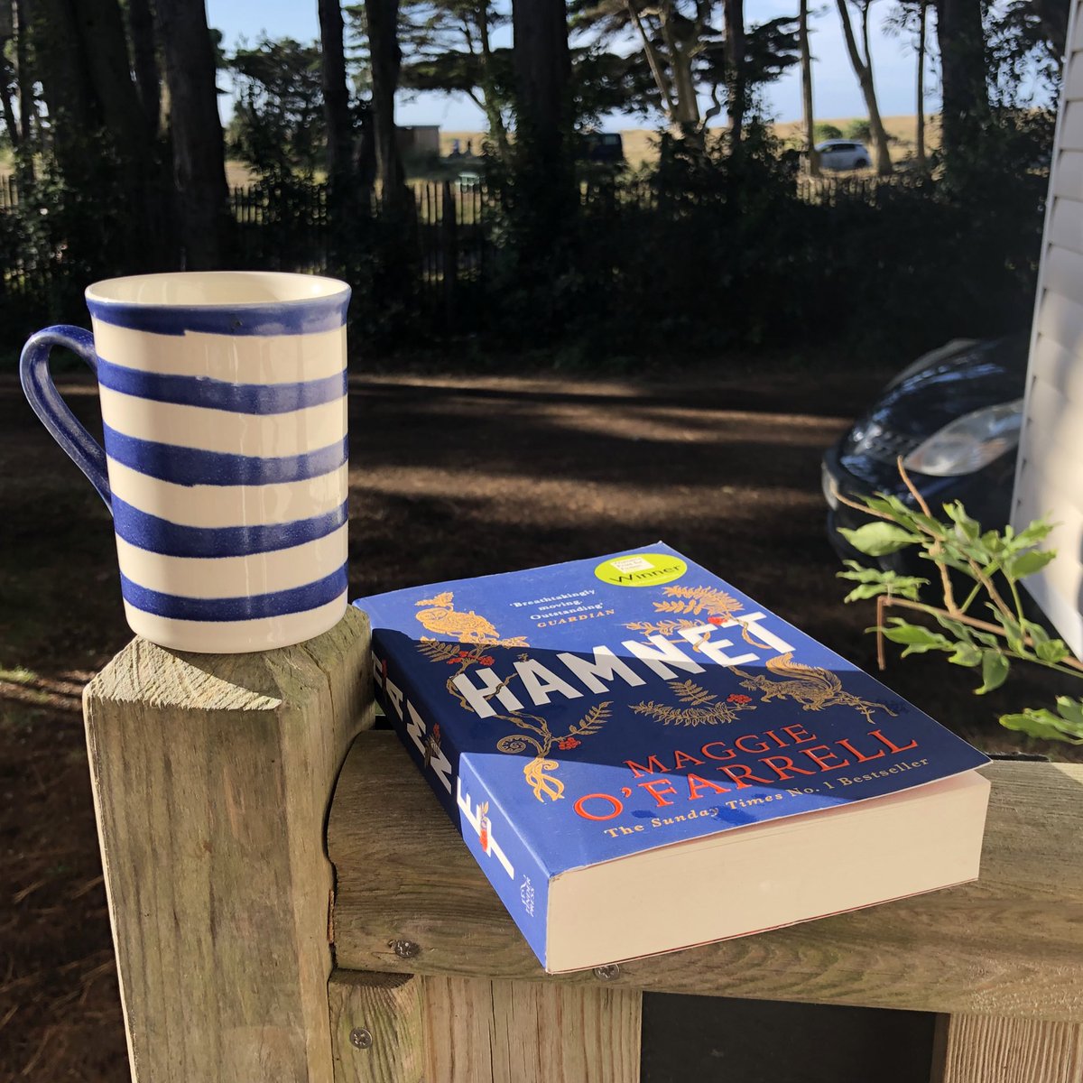 It’s the second half of my holiday, and I’m rolling out the big guns: Hamnet by Maggie O’Farrell. This can’t possibly be as good as everyone says it is. Or can it? #Hamnet #MaggieOFarrell #amreading