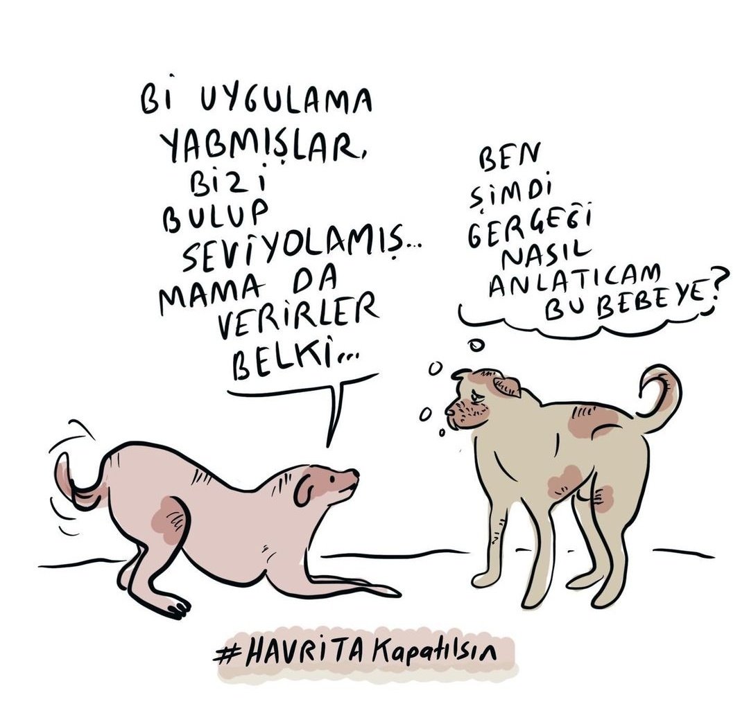 Sokakta yaşayan köpeklerin yerini bildirip, öldürülmeleri için motive eden uygulama #Havrita kapatılsın. #HavritaKAPATILSIN