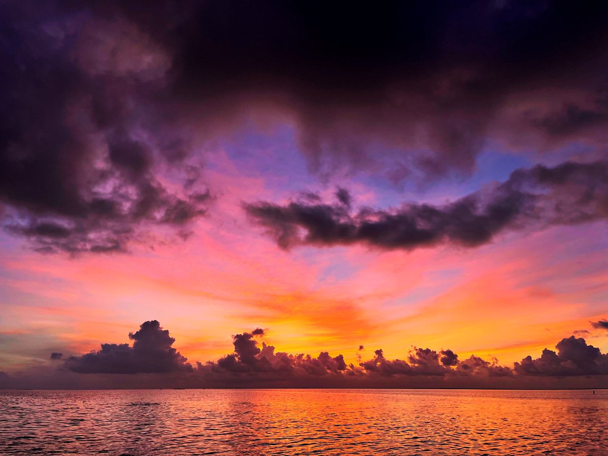 Whooper_Guide's tweet image. Good morning. Have an awesome day.