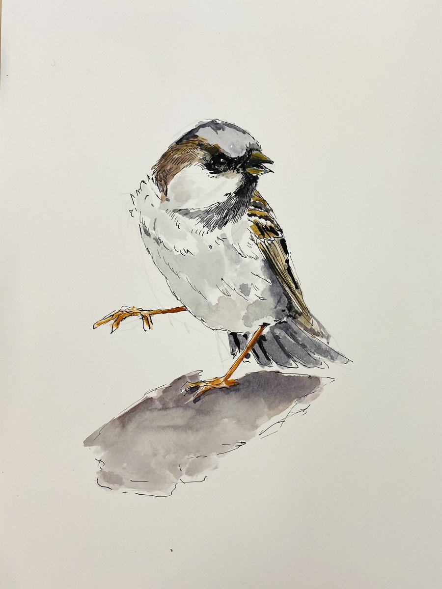 Hoi. 

Ik ga het nog 1 keer doen. Maandag ga ik een dag lang tekenen. Elke tekening op A4 kost 75,-, A3 125,- (exclusief verzendkosten). 

De eerste die zegt. Ik wil hem. Krijgt een dm en de tekening toegestuurd. 

Leuk? 

Retweet is lief.