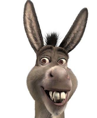 Raffa Treem 🚂 on X: aliás só eu acho o André Janones a cara do burro do  Shrek??? Janones Burro do Shrek  / X