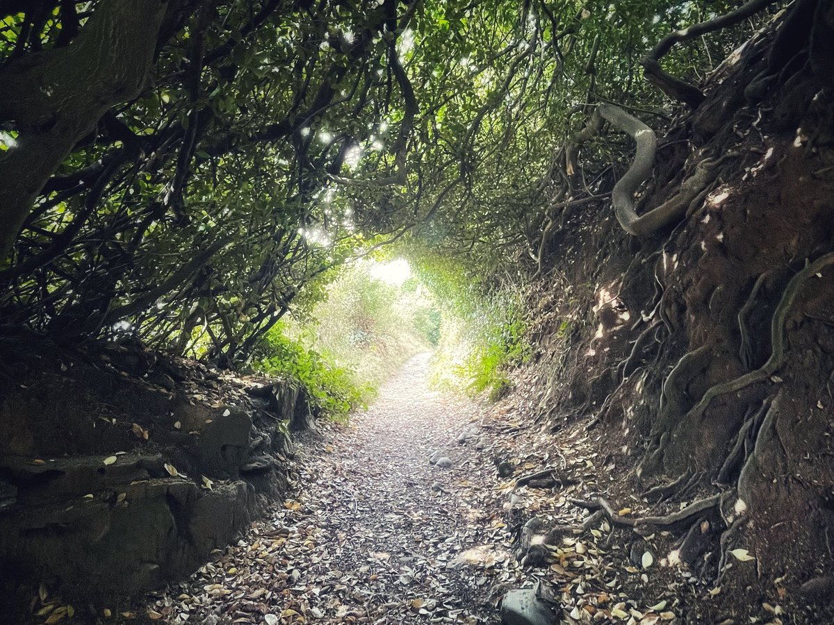 Kym_Mead's tweet photo. From being there with my grandparents and now taking my kids with their grandparents, Cornwall will always be my happy place #costalwalk #looetopolperro https://t.co/7T6zz1XRIu