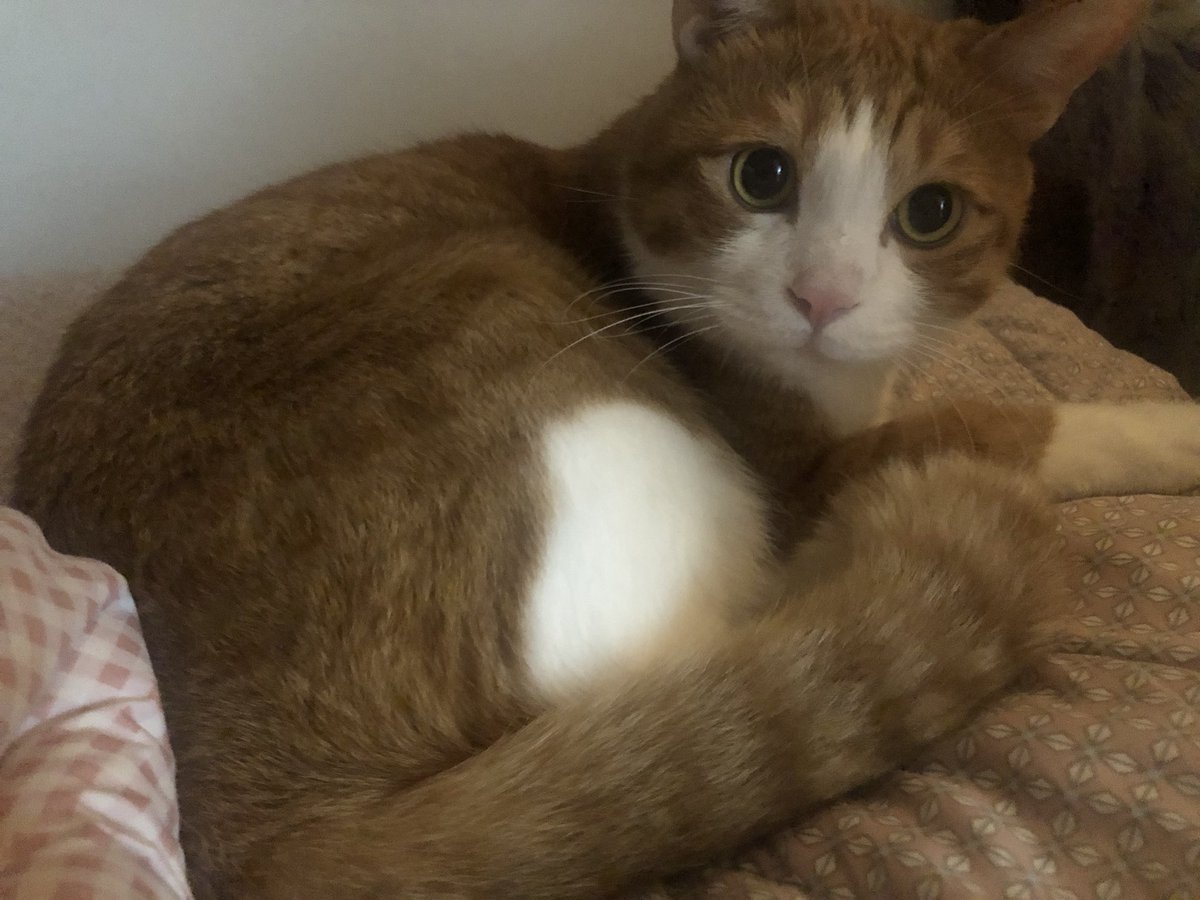 볼희의 하루(볼셰비키 혁명의 희망) (@lovethemoment30) on Twitter photo 