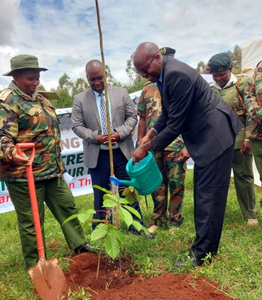 CELEBRATING ELC@10: Environment and Land Court Judge Fred Nyagaka and Kitale Court Head of Station Julius Ng'arng'ar lead staff and stakeholders in planting 2000 trees in Bidii Forest in Transnzoia.