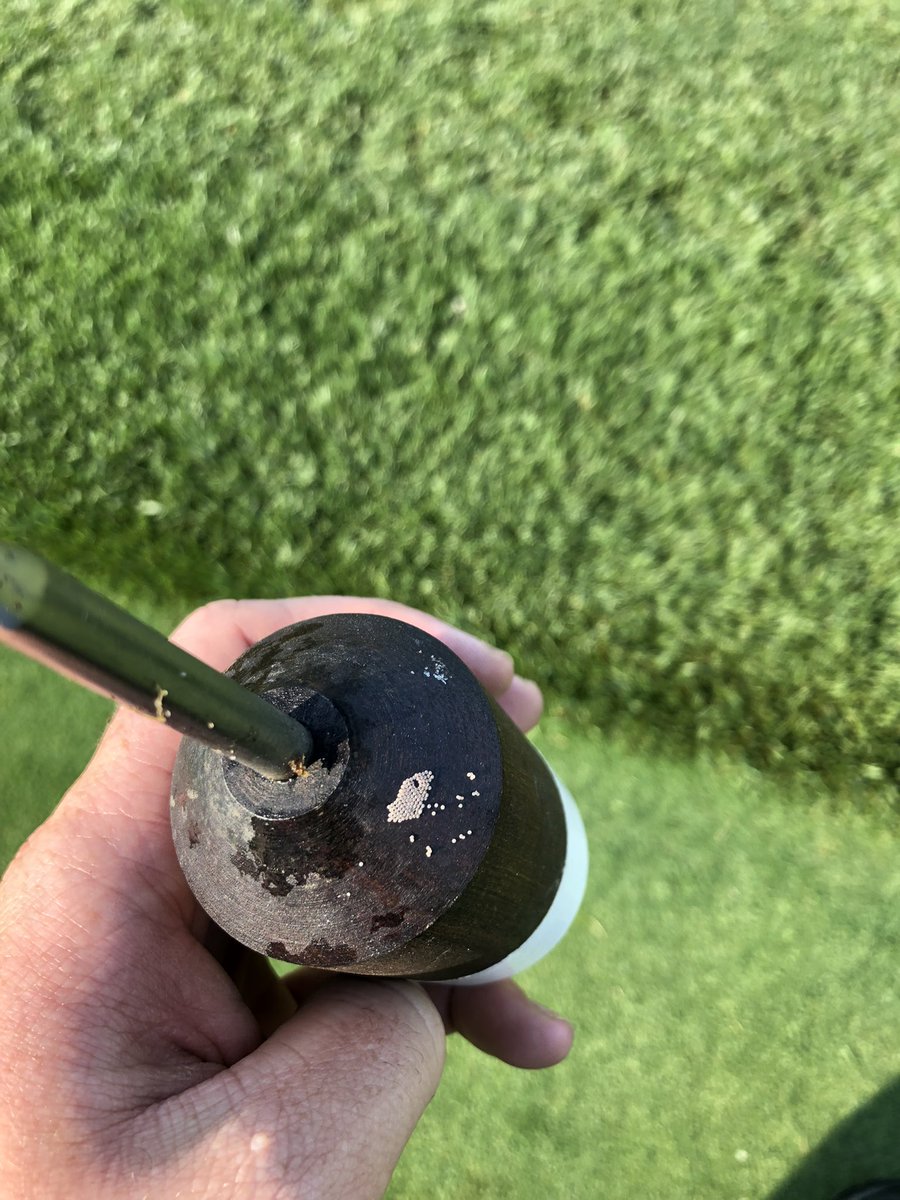 Fall Army Worm eggs popping up on tee markers today