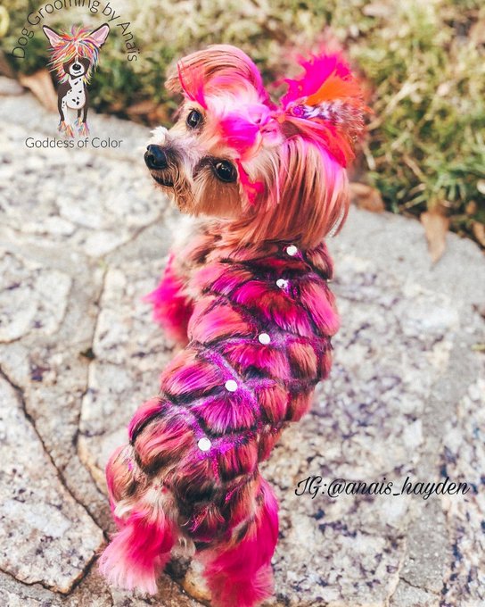 TW Pornstars - Official Caitlin Bell. Pictures and videos from Twitter. Page 9