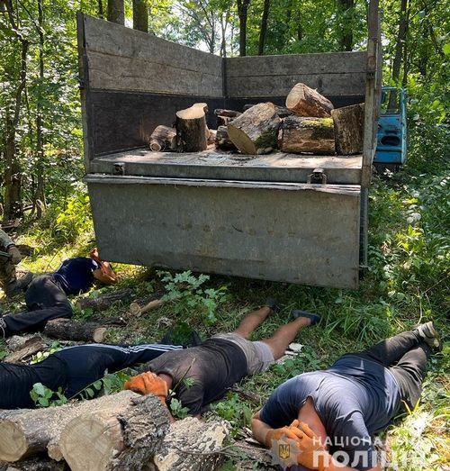 Kovyagi's tweet photo. Поліцейські викрили групу осіб у незаконній порубці деревини в Старих Валках
https://t.co/e7TGZx9HQ5

 #Поліція,  #СтаріВалки  #2022,  #kovyagicom,  #Богодухівськийрайон,  #валківськагромада,  #кримінал,  #незаконна  #порубка  #дрова https://t.co/74KHCSU5Jx