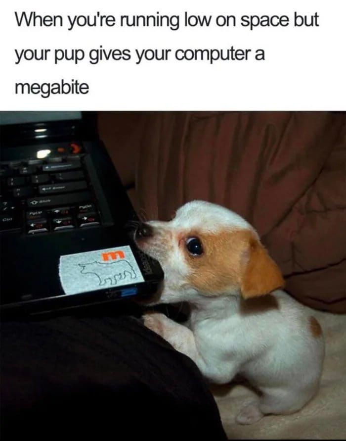 RespectfulMemes's tweet image. 