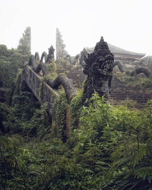 santinho95's tweet photo. Entrance to an abandoned temple  flanked by dragons in Indonesia. https://t.co/cdsNfEYv01