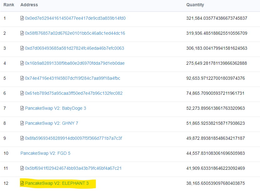 ElephantStatus's tweet photo. We are now the Top 12 #BNB holder on the #BSC! 

🚀🚀🚀

#BwB https://t.co/HYnZY8cb96