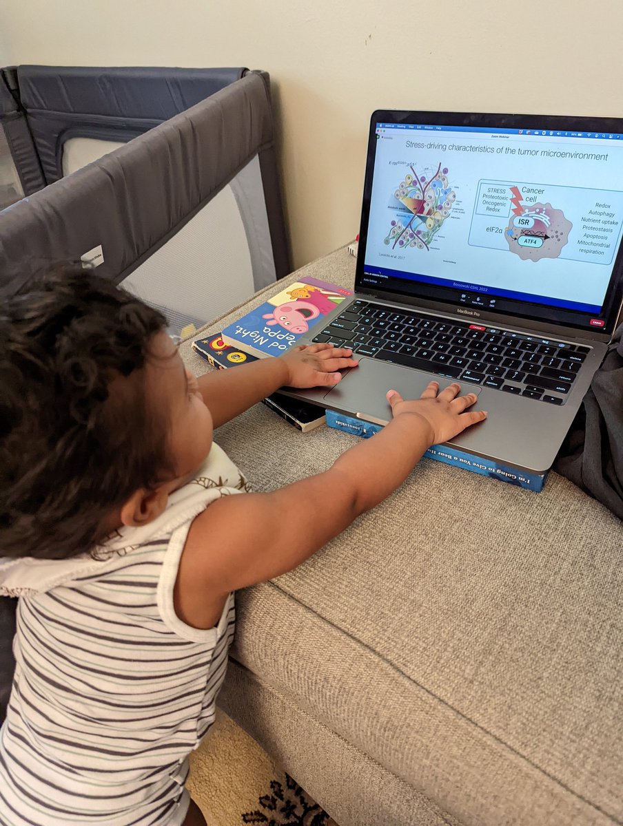 Jennifer Thalappillil tweet media