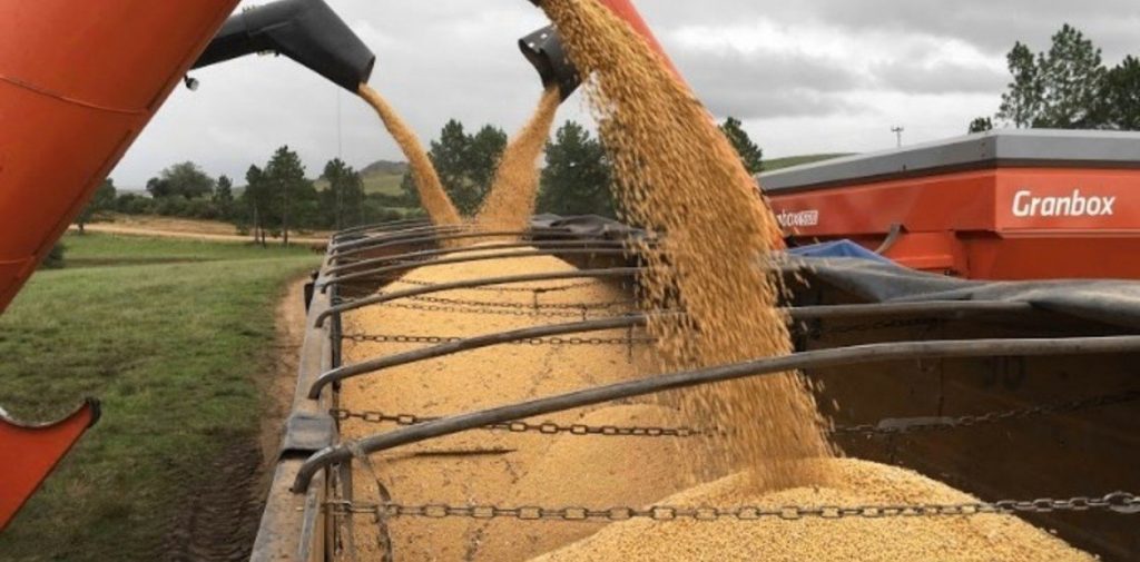 fernandezagro's tweet photo. ¿Cuánto se vendió de soja, el trigo y el maíz 2021/22? https://t.co/LMNxshOBGw https://t.co/hpFZpUPKKH