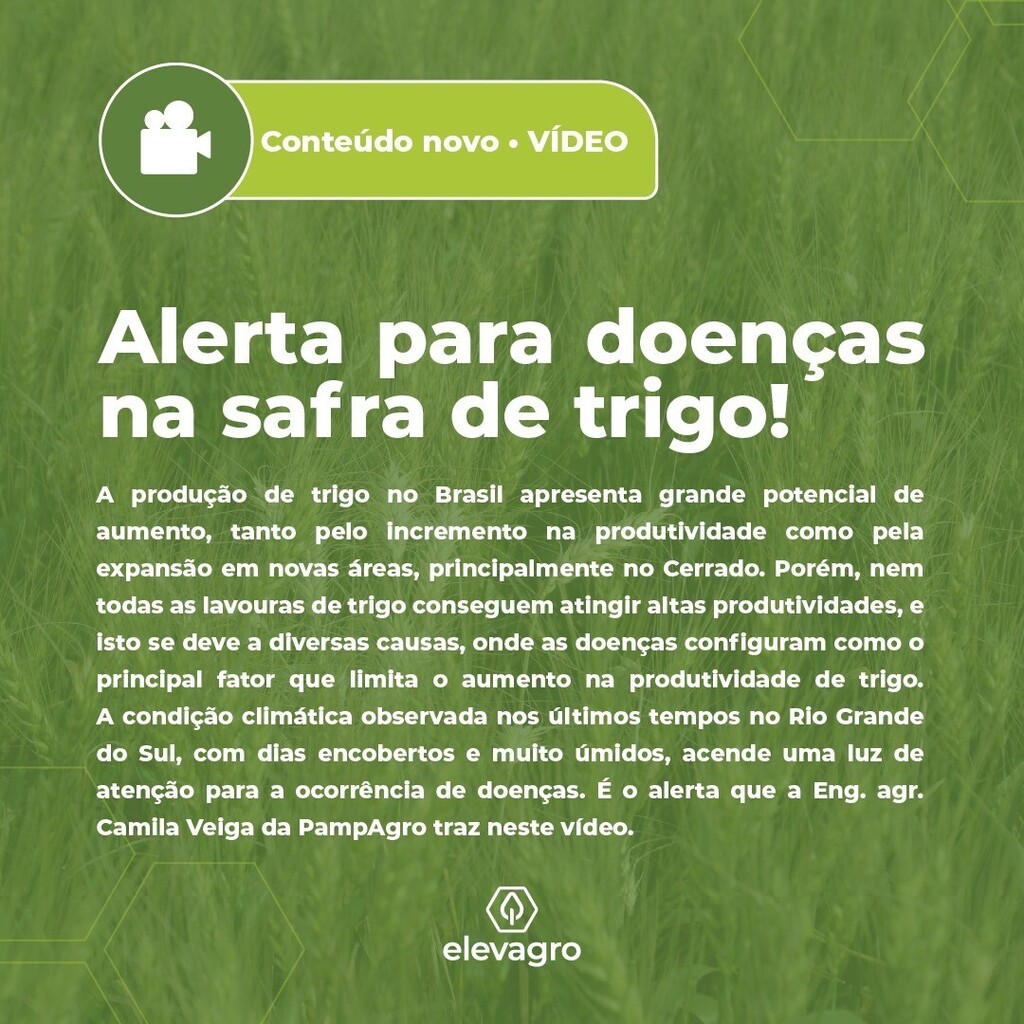 elevagro's tweet photo. Assista ao vídeo e veja o alerta para a ocorrência de doenças em função da condição climática observada em regiões do Rio Grande do Sul. Acesse: https://t.co/UUZOgXk8iF :) https://t.co/e69t24WdBq
