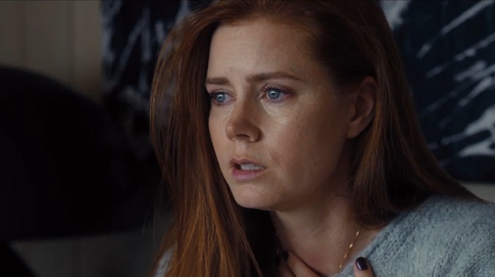 I love a distress white woman! Happy birthday Amy Adams (you will be a Oscar winner one day) 