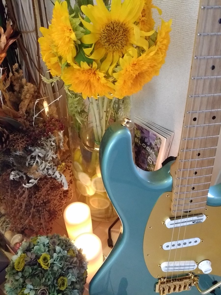AlienTakaos's tweet photo. こんばんは🌃
明日も
ギター🎸が弾けますように
この先も
ずっと弾けますように😊
お休みなさい🌉
#YousAlien
#FERNANDESGUITARS https://t.co/JM2QsitFeT