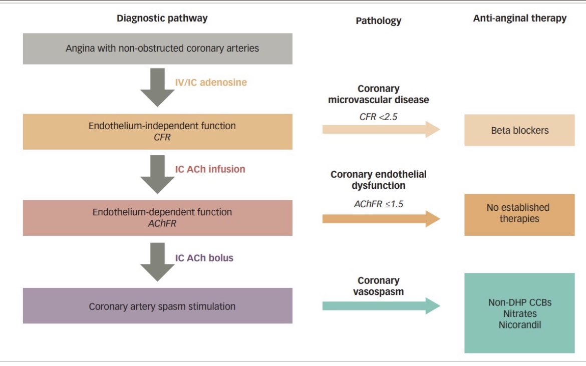 iamritu's tweet photo. Almost 50% of angina pts have non obstructive CAD on cath: 3 types of ANOCA & each has its’ own Rx:
🫀Coronary micro vascular dz B blockers
🫀Coronary endothelial dysfunction (? Rx)
🫀Coronary vasospasm (Ca channel blockers/nitrates) @minissianm
https://t.co/zJjhEDAs0K https://t.co/zxDjDoM6ru