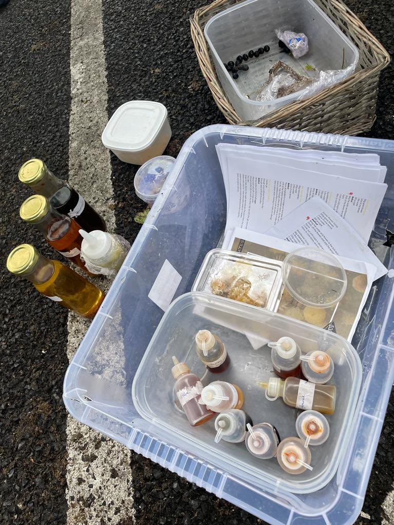 Some photos from this morning’s wild food forage and tasting in Belcarra as part of the national heritage week celebrations. #wildfood #belcarra #HeritageWeek2022 #foraging #mayofood #thisisirishfood #botanicalcusine #castlebar