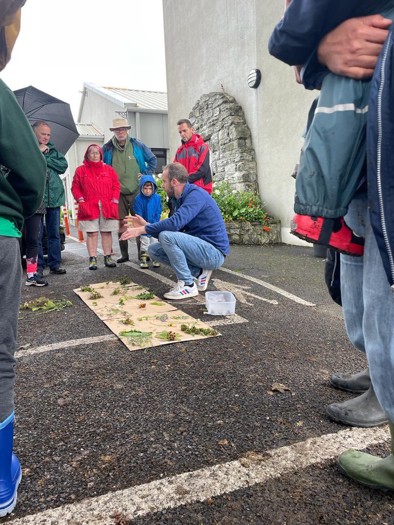 House Of Plates tweet media