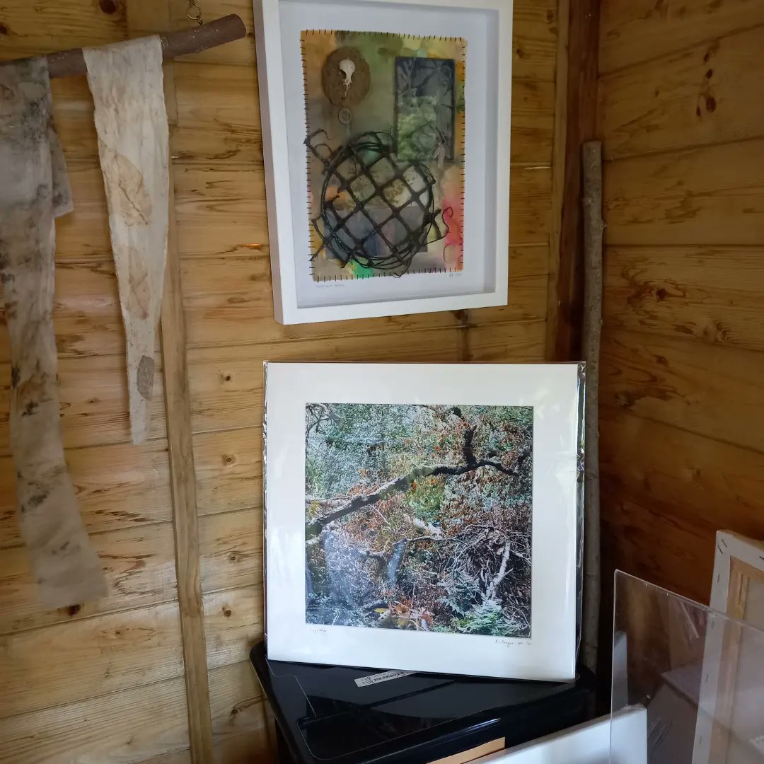 JaneCarlisleArt's tweet photo. A cornucopia of creative work on display in my studio shed for #niddarttrail both by myself and photographer @annalilleengen open 11-4pm today &amp; next Saturday 27th. Tomorrow &amp; next Sunday 28th I shall be exhibiting at the Artisan Market in Hampsthwaite https://t.co/znp1CFOyD1 https://t.co/gzpwDvChmk