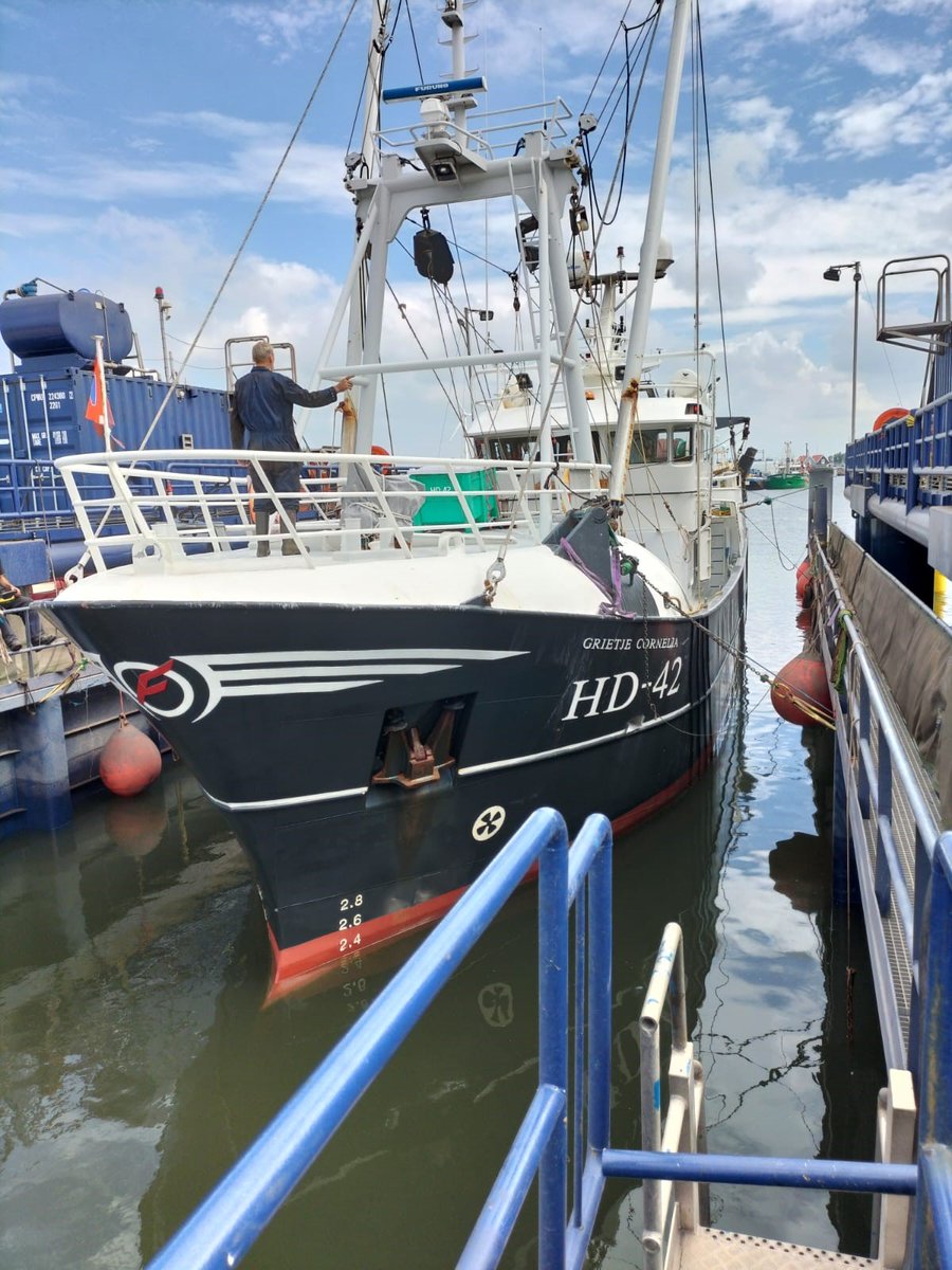 LuytGroep's tweet photo. Onze dokbaas Piet Ploegstra is de buiskap van de HD-42 ‘Grietje Cornelia’ weer lenig opgeklommen om als een 'orkestleider' met armgebaren de dokvloer omhoog te dirigeren, zodat het schip in de beste positie in dok ligt.
#onderhoud #onderwaterschip #conserveren #antifouling https://t.co/Kpji0NnvpF