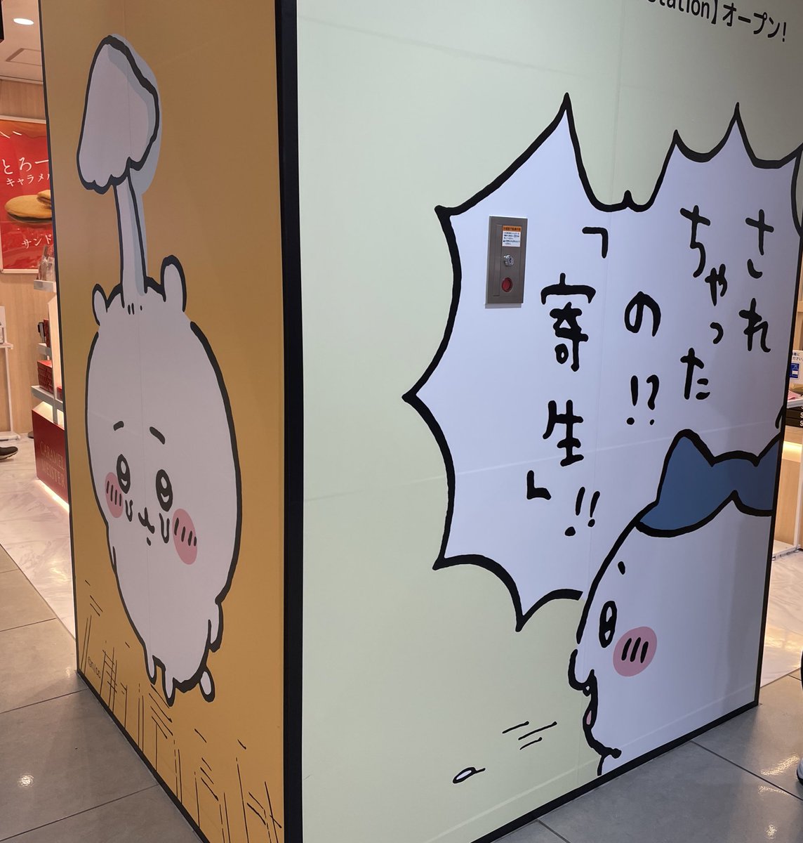 東京駅
(お店にはチケットなくて入れないのでグッズはチケット当てた友人が代行してくれた) 