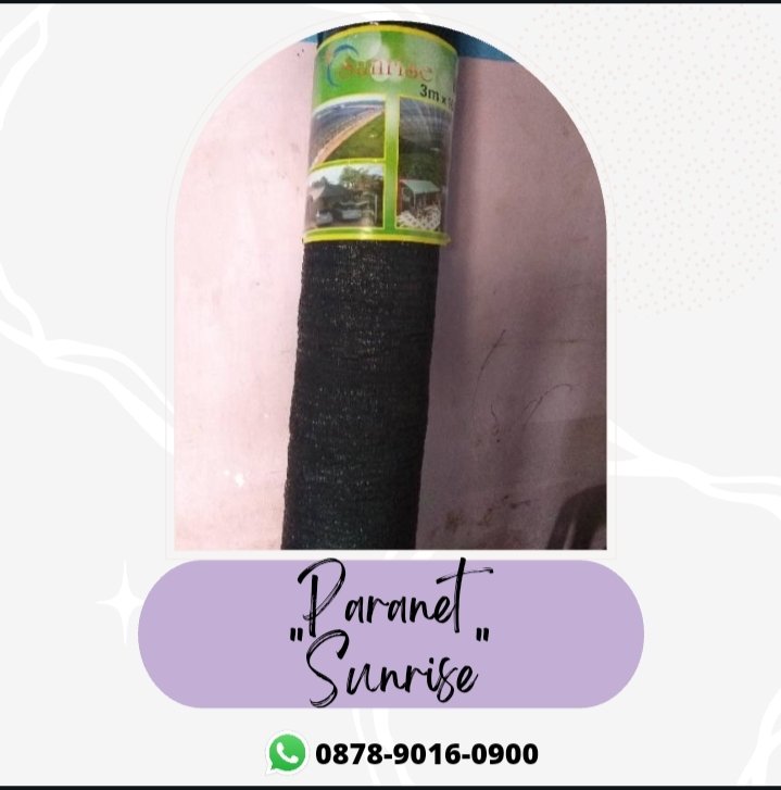 resellerparanet's tweet image. Kualitas Terjamin, WA+6287890160900, Reseler Paranet design Surabaya

Paranet design, Paranet dan plastik uv, Daya tahan paranet, Desain paranet, Dinding paranet
#paranetdesign, #paranetdanplastikuv, #Dayatahanparanet, #Desainparanet, #dindingparanet