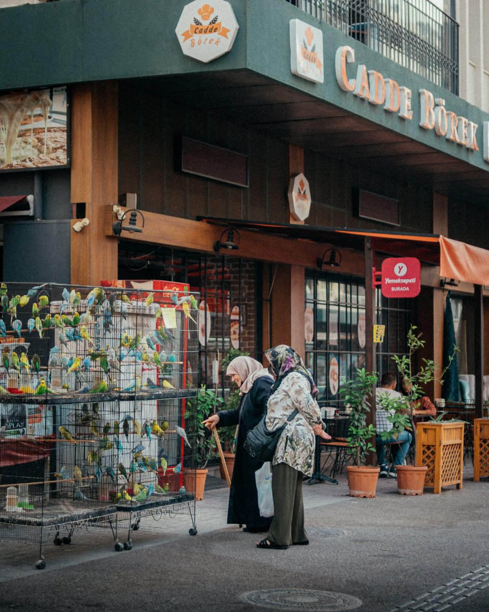 Watching birds 🦜 
#streetphotography