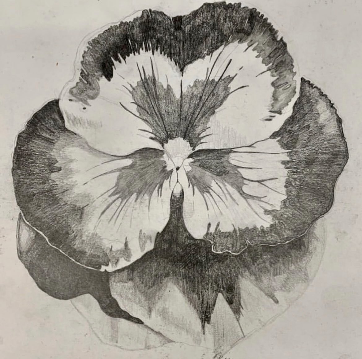 LiliIsmail1999's tweet photo. Thanks @BeverleyIsmail for the nomination
Here is day 2 of 10 🌸🌺#sharing #art #kleinkunstklasse #flowers #ArtistOnTwitter #artist #illustration #drawingaugust #drawing #tonaldrawing #art #botanicalart #botanical #draw #sketch #primrose #garden #nature #naturalart #flowerpower https://t.co/mWAHXvyu7G