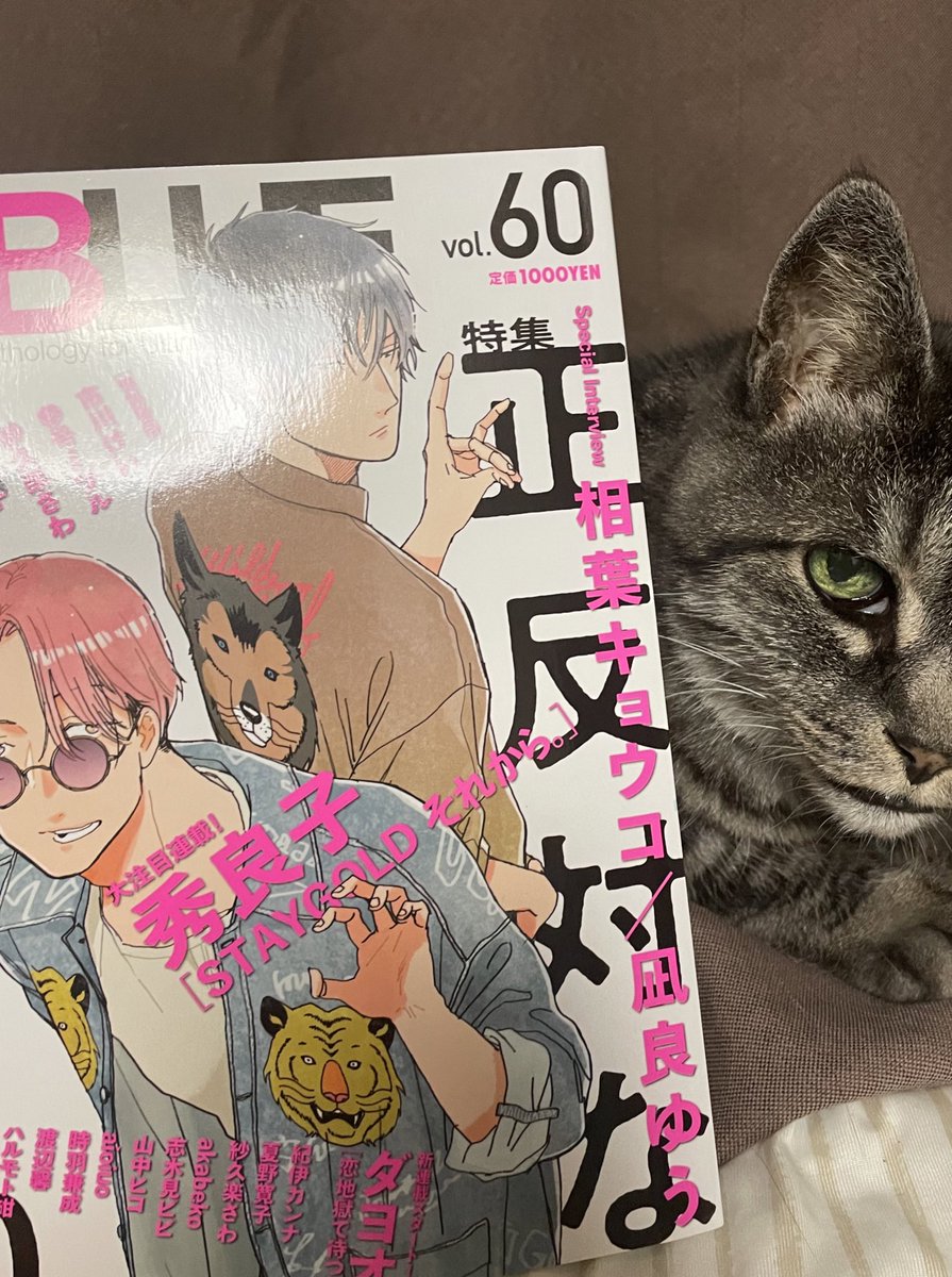 onBLUE vol.60の見本誌いただきました✨わ〜い!じっくり読むぞ!ただのonBLUEファンだぞ!笑
偏愛ドラマティック・モンスター第3話掲載していただいてます! 