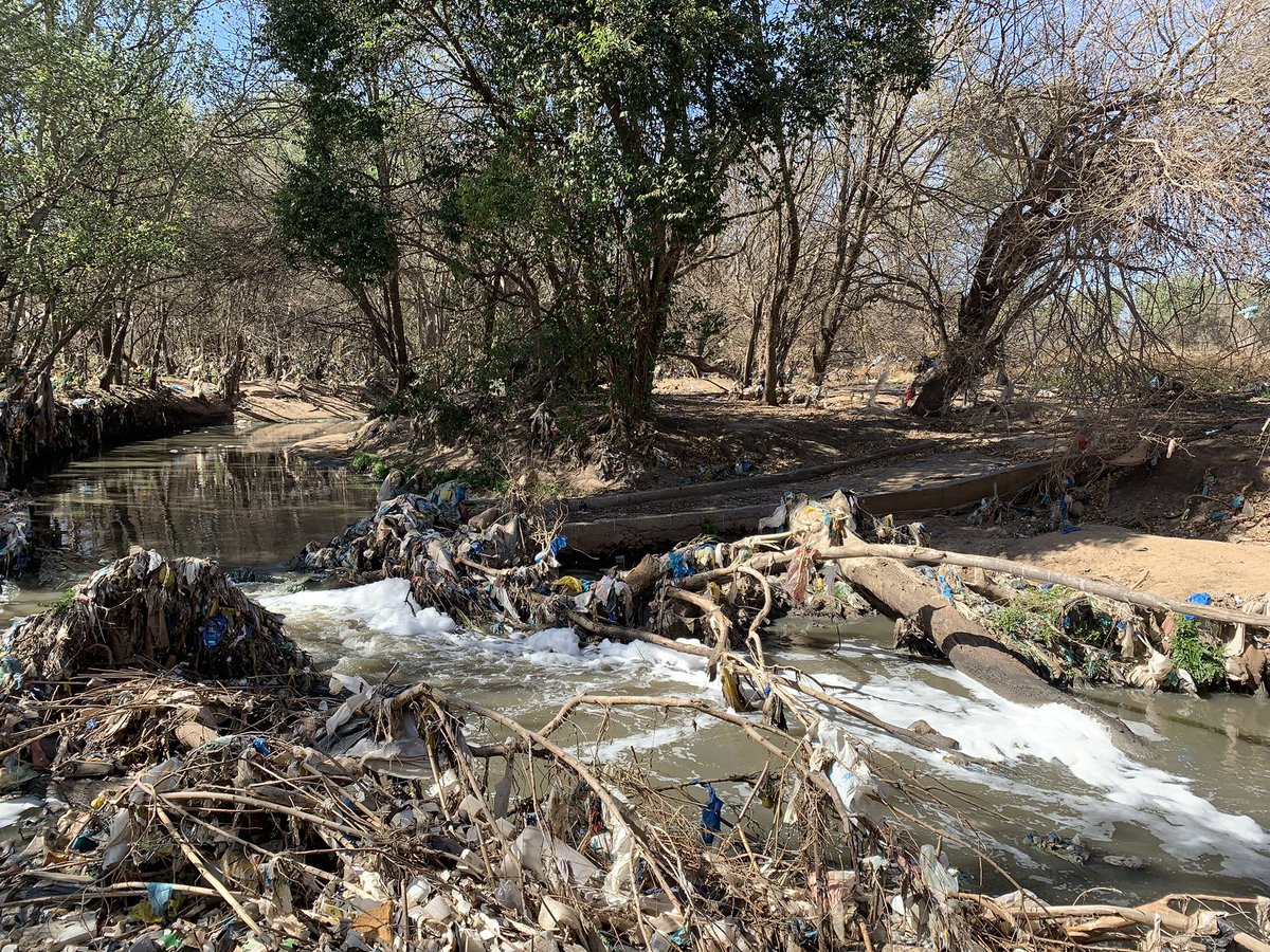 Mokgatla_Mora's tweet photo. Olifanspruit + Sesymlspruit >>> Hennops River 

Boseka bo e ja!
@Tshepo91995500 
@MORA_Ecology https://t.co/yXo7ikkZL4